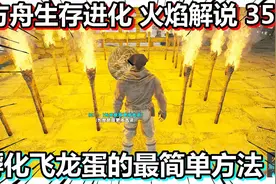 方舟生存进化 火焰解说 351 孵化飞龙蛋的最简单方法视频封面