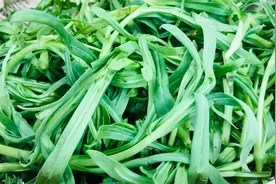 蒸面条菜有技巧，记住关键的3步，不沾不坨，清热去火，减肥通便视频封面