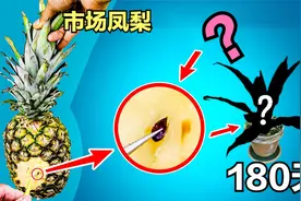 原来这水果也有种子？取一个种子埋土里，在家种一盆，来年可以吃