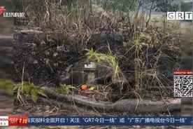 汕尾海丰：明火祭祖引发山火 三人涉嫌失火罪被刑拘视频封面