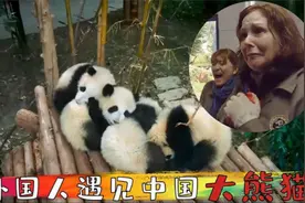 当外国人第一次见到中国大熊猫，毫无抵抗能力，激动地要哭！视频封面