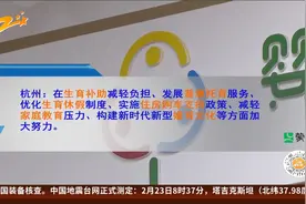 热点关注 杭州向新生育二孩、三孩家庭发放补助 政策解读来了视频封面