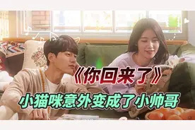 终于迎来大结局！小猫最后化成了猫形，但老天被感化了，有情眷属