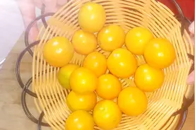 孩子咳嗽别吃药，熬一份金桔膏，止咳化痰，常喝预防感冒