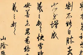 向经典致敬：频有哀祸悲摧切割不能自胜，奈何奈何! 临频有哀祸帖视频封面