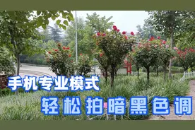 手机专业模式，只需2个设置，轻松就拍出暗黑色调