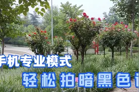 手机专业模式，只需2个设置，轻松就拍出暗黑色调视频封面