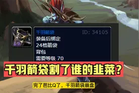 魔兽TBC：还没开P3千羽箭袋就崩盘！到底是为啥？排骨≈猎人吗？视频封面