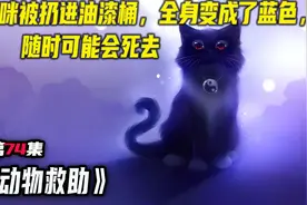 小猫咪被人扔进了油漆桶里，全身沾满了油漆变成了绿猫，危在旦夕视频封面