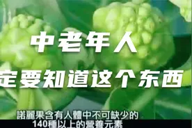 诺丽果最重要的养生功效视频封面