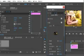 premiere打开和关闭滚动面板。