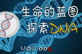 生命的蓝图 DNA的发现与探索视频封面