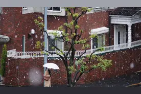 3月中旬 东京上空突降雪