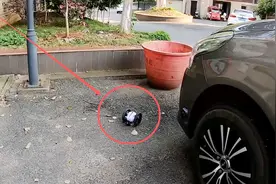 开箱试玩一款会跳的车子，行驶到垃圾桶按下按键，它就进去了