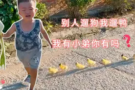 “溜鸭”能吸粉百万？2岁萌娃多肉上演现场教学，萌翻众多网友！视频封面