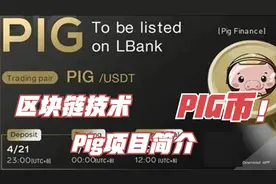 pig币 区块链技术介绍 数字货币技术 pig项目组成简介 pig token视频封面