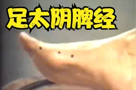 【绝版】针灸取穴法 足太阴脾经 北京科学教育电影制片厂 杨甲三视频封面