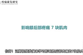 膝后部疼痛 的 7块肌肉视频封面