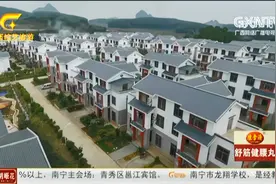 南宁：农村居民喜得首批农村“房地一体”确权登记证书视频封面