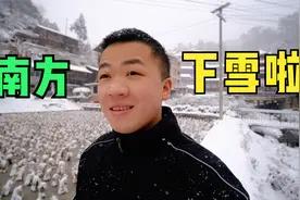 一觉醒来下大雪了，村寨白茫茫的一片，看看南方下雪有多漂亮视频封面