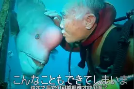 老人潜水时救了鱼，鱼25年陪在老人身边，已钟声为约定视频封面