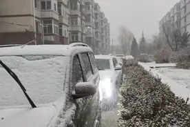 “白色情人节”北京降下鹅毛大雪 多区已被积雪覆盖视频封面