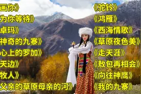 藏舞<画你><为你等待><卓玛><神奇的九寨><心上的罗加><天边>牧人视频封面