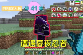 我的世界阿阳虚无传41：遇到暮夜忍者，他那似乎有我想要的信息