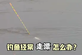 钓鱼经常遇到走漂的情况怎么办？掌握这几种方法轻松解决