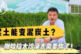 泥土能变泥炭土？撒哈拉大沙漠太需要你了！网络热门视频鉴定！视频封面