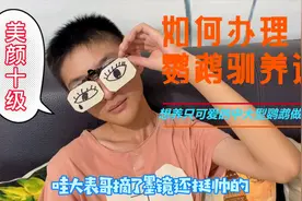 想养只中大型鹦鹉做宠物，需要办理人工驯养繁殖许可证，基本流程视频封面