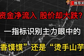 资金净流入股价却大跌？因为你被主力骗了，一指标看透主力真相视频封面