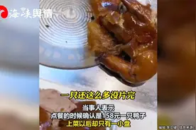 质疑158元烤鸭仅上了半只  顾客为求证又点了一只视频封面