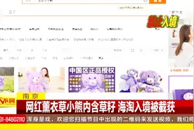 会危害生态平衡？网红薰衣草呆萌小熊内含异物，海淘入境被截获视频封面