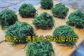 夏天，遇到此菜别手软，我家每年必囤20斤，放冰箱存起来，特省事视频封面