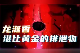 这种动物的排泄物价比黄金，并被用于众多名贵香水之中！视频封面