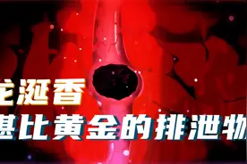 这种动物的排泄物价比黄金，并被用于众多名贵香水之中！视频封面