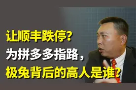 让顺丰蒸发2000亿？为拼多多指路，极兔速递背后的狂人有多可怕？