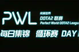 完美世界DOTA2联赛10月28日赛事精彩集锦：来吧展示实力强劲视频封面
