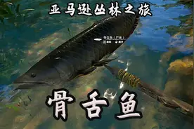 绿色地狱：亚马逊丛林之旅捕猎骨舌鱼和野猪