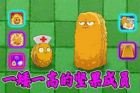 植物大战僵尸2：一矮一高的坚果成员，坚果卫星vs危墙！视频封面