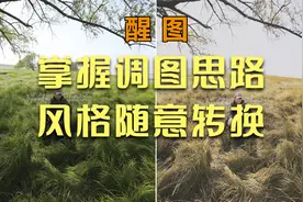 手机醒图修图，掌握调图思路，风格随意切换