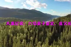 大案纪实：六场亲子鉴定，生父现身视频封面