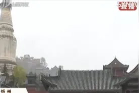 半票优惠！五台山实名制预约购票，日接待量最多2万人丨都市110视频封面