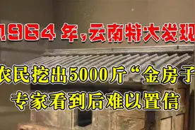 1964年，云南农民挖出5000斤“金房子”，专家看到后难以置信视频封面