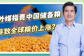 外媒指责中国储备粮导致全球粮价上涨？郑风田：别有用心视频封面