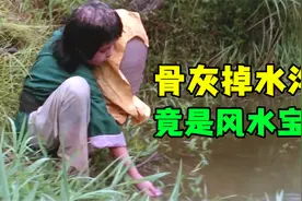 一部44年前台湾电影，穷小子把父亲葬在小水沟，谁知那是风水宝地视频封面