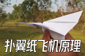纸飞机为什么能扑翼飞行？用不断打破平衡，制造瞎扑腾视频封面