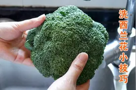 西兰花不要焯水了，教你一招，虫子和脏东西全跑出来，简单实用