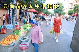 云南苗族人的生活现状，越南苗族人看了羡慕死了，做中国人就是好